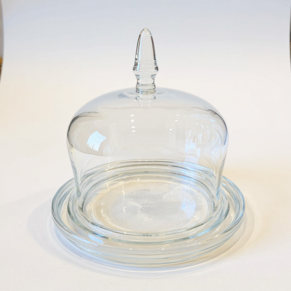Cake or Pastry Dome
