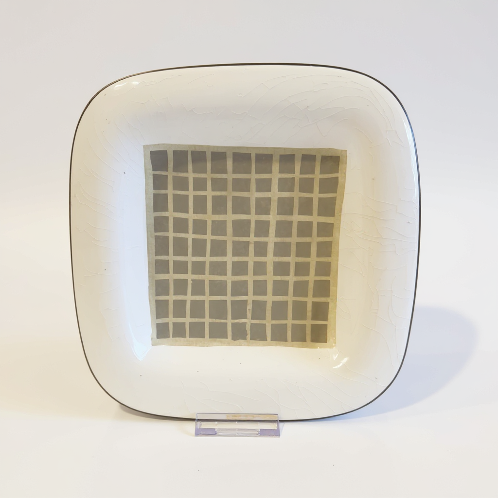 Sakura 10 1/2inch Plate
